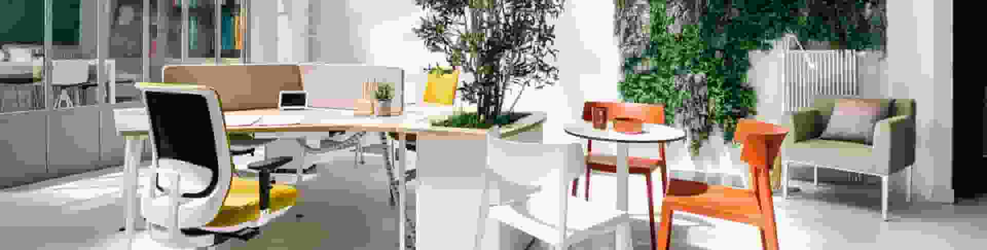 Arquitectura y diseño que cuidan a través de la naturaleza