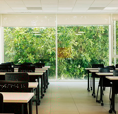 Universidad Europea 