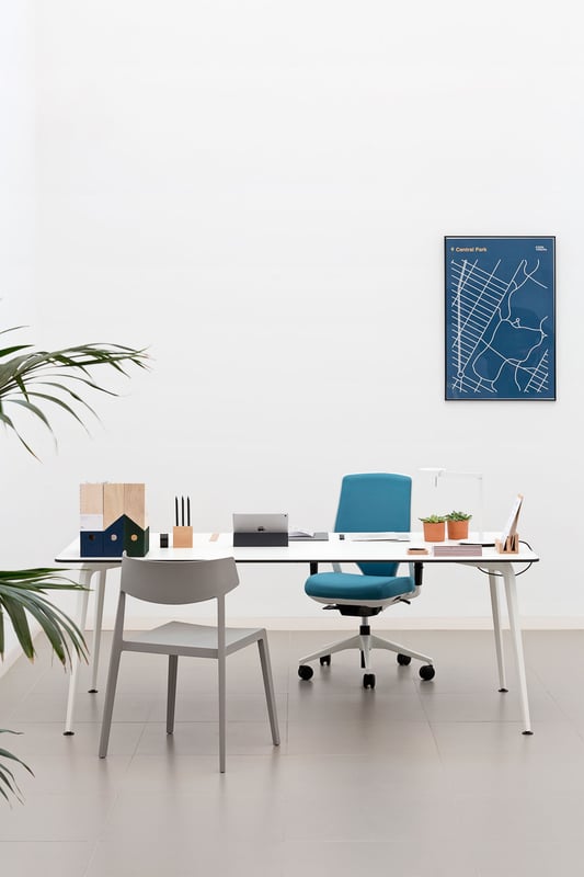 Image Gallery