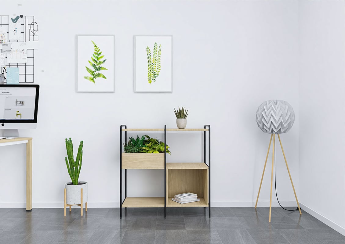 Image Gallery
